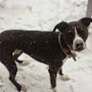 Meet your Posher, Katy